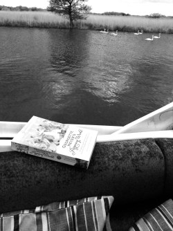 readingandswans.JPG