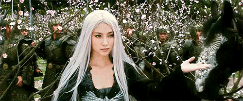 130227-the-forbidden-kingdom-witch.gif