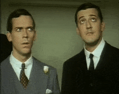 ThirdJointBarnswallow-max-1mb