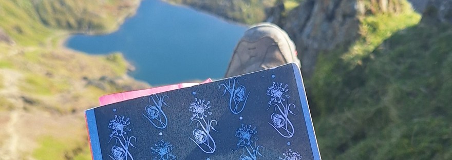 book on a mountain